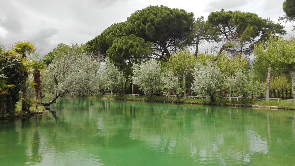 Hotel Termas Balneario Termas Pallares Alhama de Aragón Exteriör bild